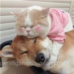 Avatar of Nimra Hussain